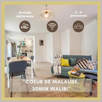 Le Gite 1 - Appartement T2 De 53M2, Ideal Pro Ou Couples, Coeur De Ville Et Proche Golfech Malause Exteriér fotografie